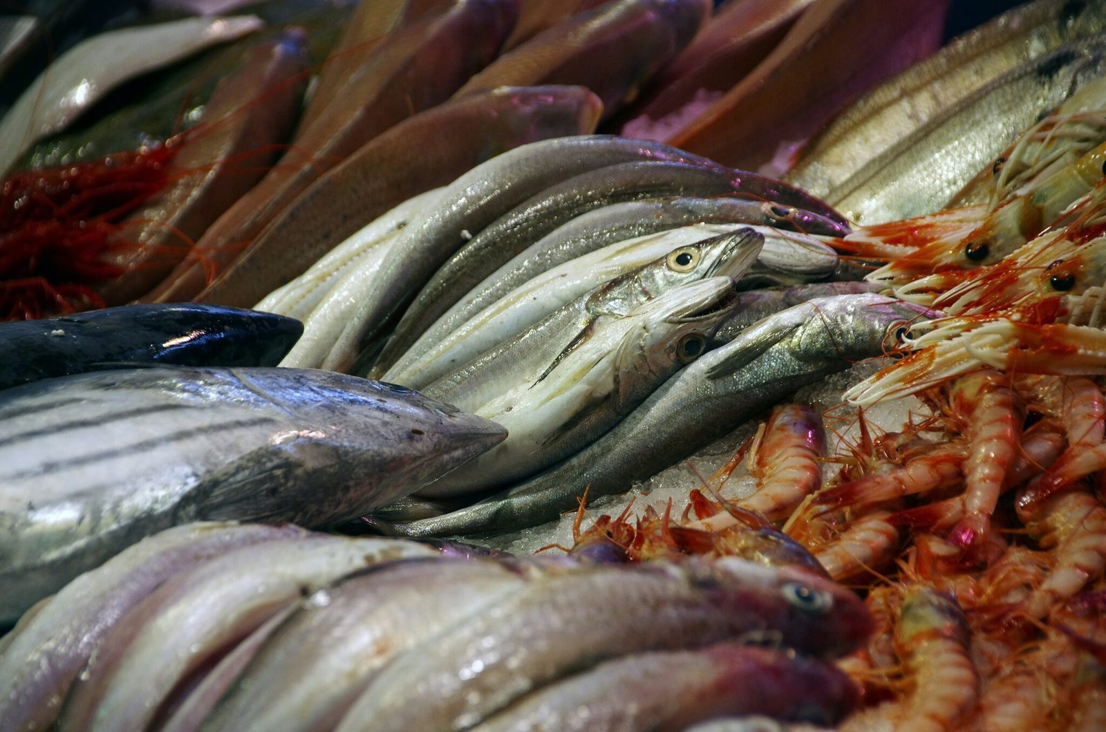 Signs of Spoiled Seafood: How to Know When Fish Is Bad | Brine and Tide